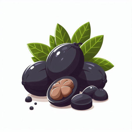 Black olives with leaves isolated on white background. Vector illustration.のイラスト素材