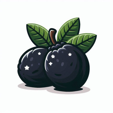 Illustration of a black plum with leaves on a white background.のイラスト素材