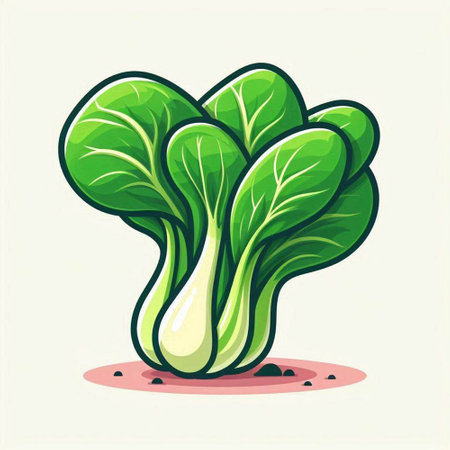 Bok choy, fresh chinese cabbage, vector illustration.のイラスト素材