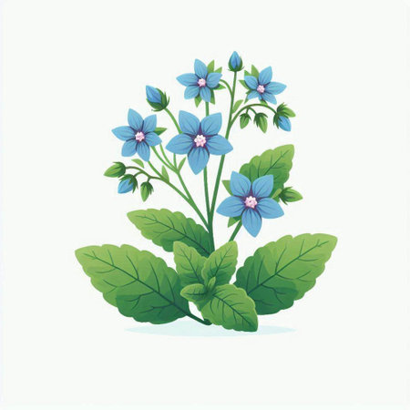 Blue flowers with green leaves isolated on white background. Vector illustration.のイラスト素材