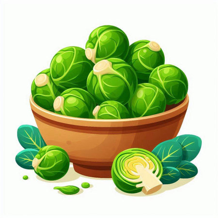 Brussels sprouts in bowl isolated on white background. Vector illustration.のイラスト素材