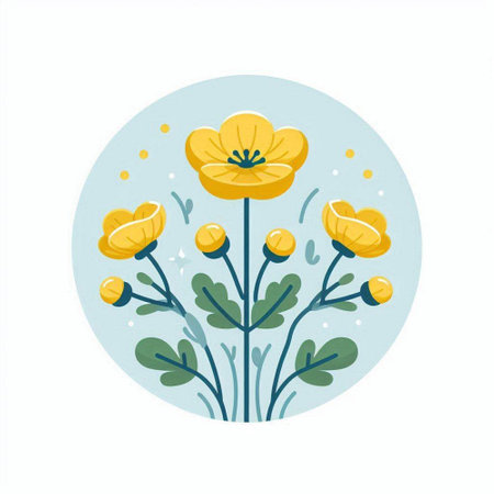 Vector illustration of yellow buttercup flowers in round frame on white backgroundのイラスト素材