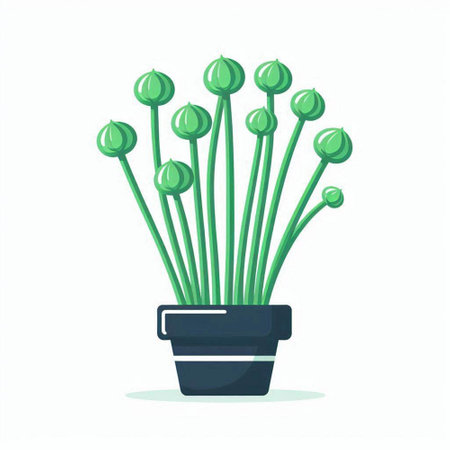 Plant in a pot on a white background. Vector illustration.のイラスト素材
