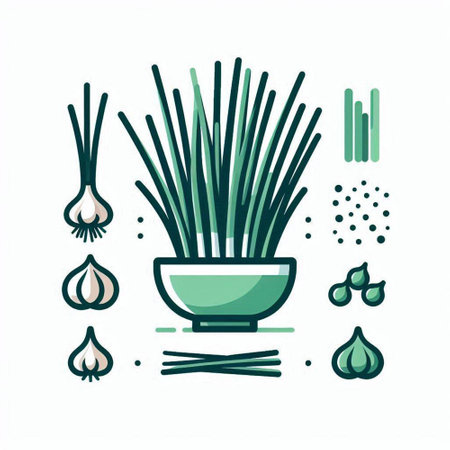 Garlic and onion icons set. Vector illustration in flat style.のイラスト素材