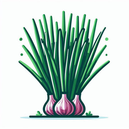 Vector illustration of a bunch of fresh green onions on a white backgroundのイラスト素材
