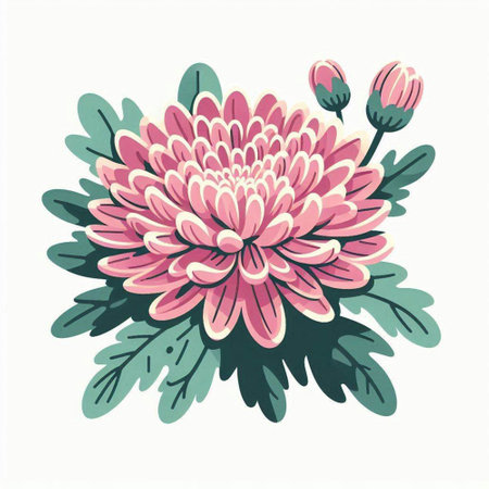 Pink chrysanthemum on white background. Vector illustration.のイラスト素材