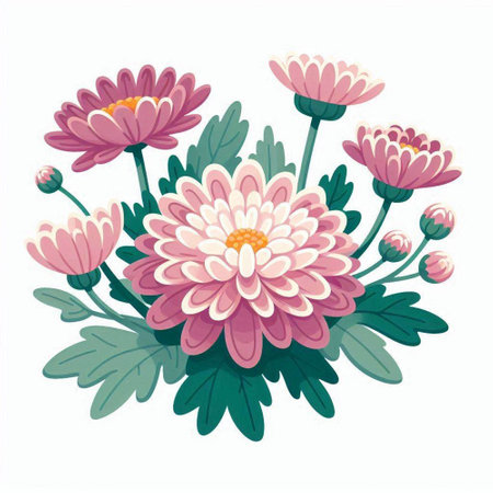 Pink chrysanthemum bouquet on white background. Vector illustration.のイラスト素材