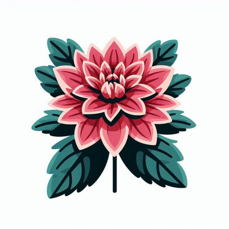 Illustration of a dahlia flower on a white background.のイラスト素材