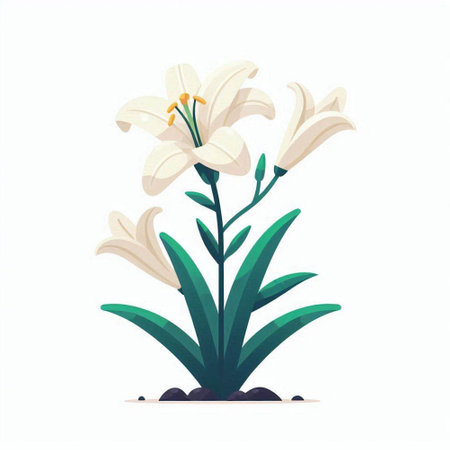 White lily flower isolated on a white background. Vector illustration.のイラスト素材