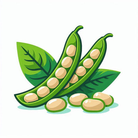 Pea pods with leaves isolated on white background. Vector illustration.のイラスト素材