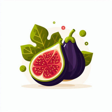 Figs with leaves. Fruits on a white background. Vector illustration.のイラスト素材