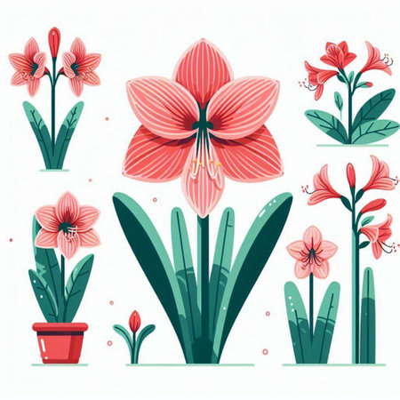 Flower set with amaryllis. Vector illustration in flat styleのイラスト素材