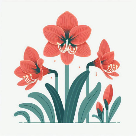 Beautiful red amaryllis flowers, hand drawn vector illustrationのイラスト素材
