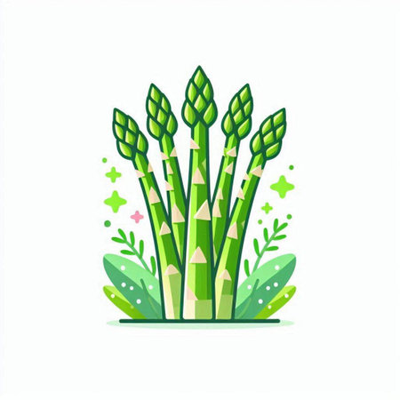 Green asparagus icon isolated on white background. Vector illustration.のイラスト素材