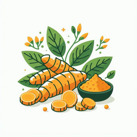 Turmeric root, leaves and powder. Vector illustration isolated on white background.のイラスト素材
