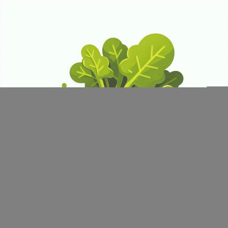 Lettuce on a white background. Vector illustration. Eps 10のイラスト素材