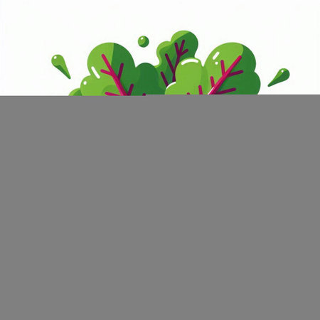 Illustration of fresh green salad with water drops on a white backgroundのイラスト素材
