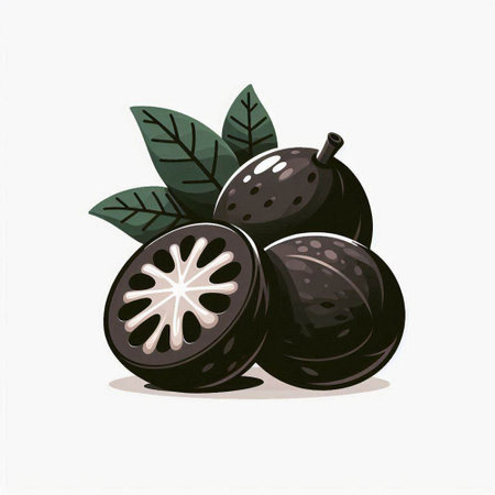 Illustration of whole and halved mangosteen fruits with leavesのイラスト素材