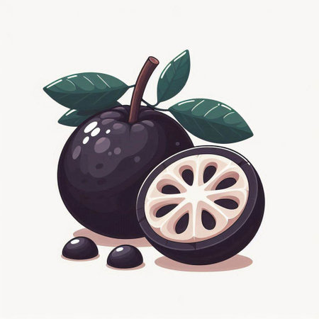 Fresh black mangosteen fruit on white background. Vector illustration.のイラスト素材