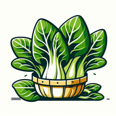 Bok choy, chinese cabbage. Vector illustration in retro styleのイラスト素材