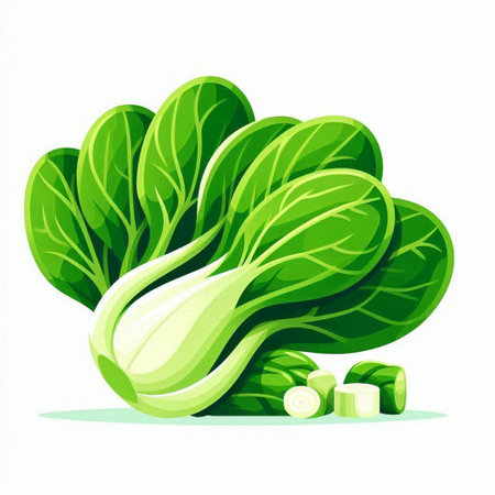 Bok choy fresh vegetable vector illustration isolated on white background.のイラスト素材