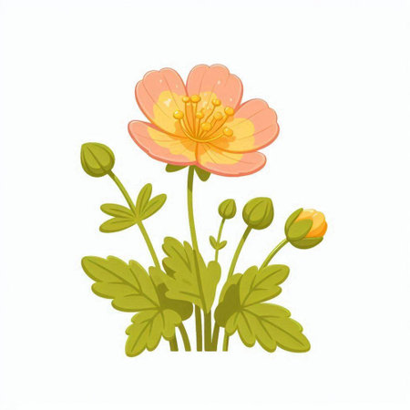 Beautiful spring flowers isolated on white background. Hand drawn vector illustration.のイラスト素材