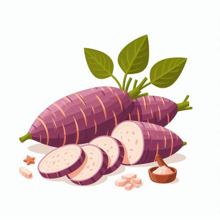 Purple sweet potato isolated on white background. Sweet potato vector illustration.のイラスト素材