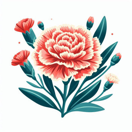 Carnation flower vector illustration isolated on white background. Beautiful blooming carnation.のイラスト素材