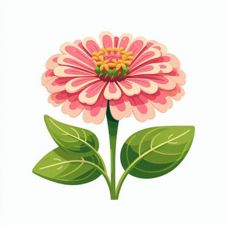 Beautiful pink zinnia flower isolated on white background. Vector illustration.のイラスト素材