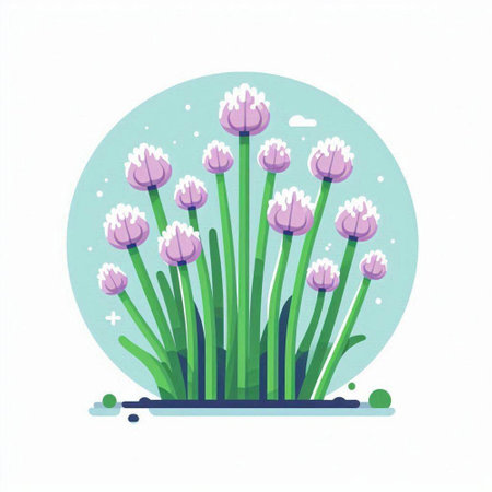 Flowering chives isolated on white background. Vector illustration.のイラスト素材