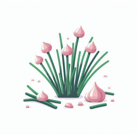 Garlic and onion vector illustration. Flat cartoon style. Isolated on white background.のイラスト素材