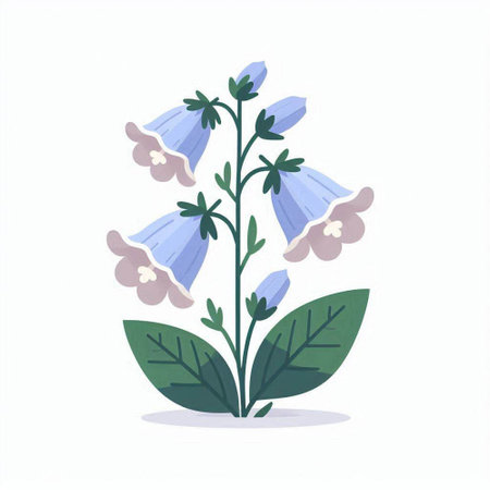 Campanula flowers on white background. Vector illustration in flat style.のイラスト素材