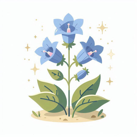 Illustration of a blue bellflower with stars on a white backgroundのイラスト素材