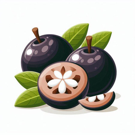 Black olives with leaves isolated on white background. Vector illustration.のイラスト素材