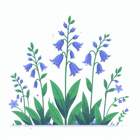 Bluebells. Hand drawn vector illustration on a white background.のイラスト素材