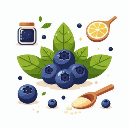 Blueberry vector illustration. Blueberry in a wooden spoon and ingredients.のイラスト素材