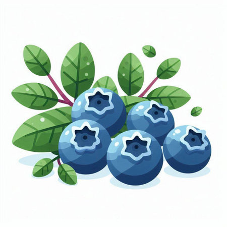 Blueberry vector illustration. Fresh berries with leaves isolated on white background.のイラスト素材