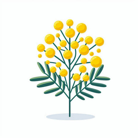 Mimosa flower icon. Flat vector illustration isolated on white background.のイラスト素材