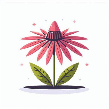 Echinacea flower. Vector illustration in flat cartoon style on white background.のイラスト素材