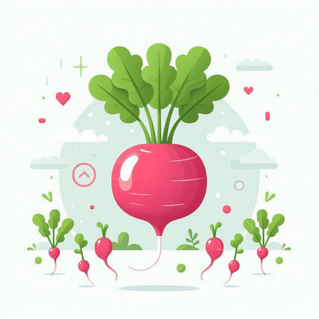 Radish with green leaves. Vector illustration in flat cartoon style.のイラスト素材