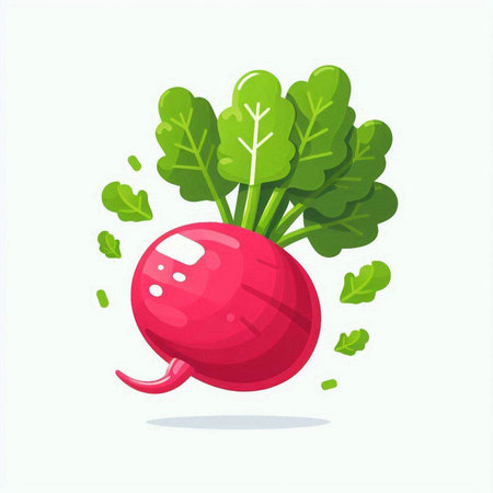 Radish with leaves isolated on a white background. Vector illustration.のイラスト素材