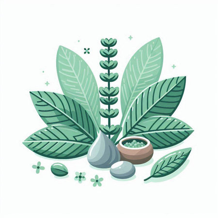 Spa composition with green leaves and massage stones. Vector illustration.のイラスト素材