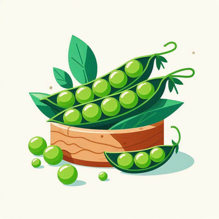 Peas and green leaves on a white background. Vector illustration.のイラスト素材