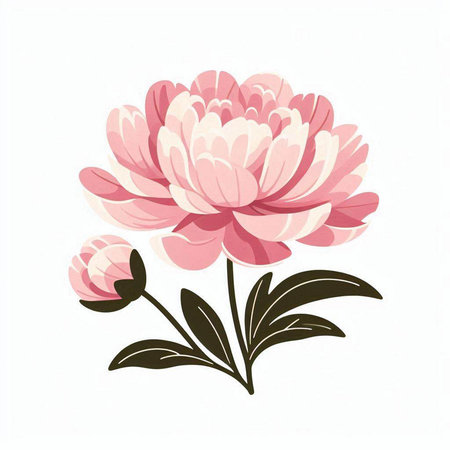 Peony flower on white background. Vector illustration for your design.のイラスト素材