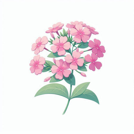 Illustration of pink hydrangea flowers on a white backgroundのイラスト素材