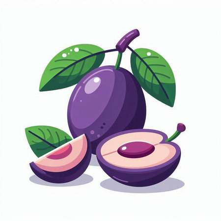 Plum fruit isolated on white background. Vector illustration in cartoon style.のイラスト素材