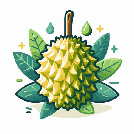 Durian fruit with leaves and drops of water. Vector illustration.のイラスト素材