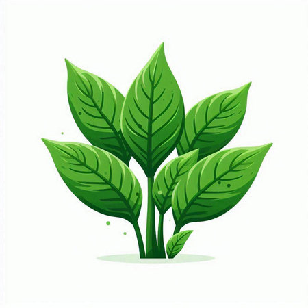Green tea plant isolated on white background. Vector illustration. Eps 10.のイラスト素材