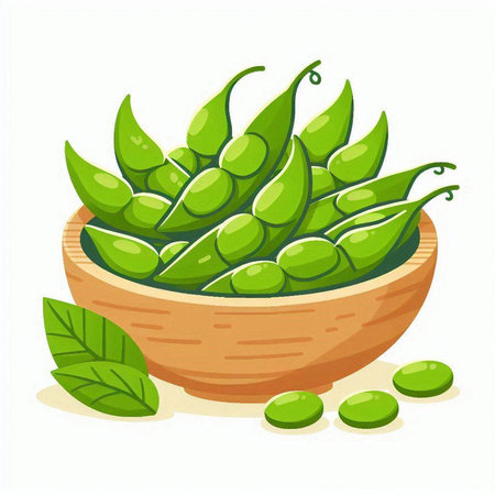 Bowl of green soybeans isolated on white background. Vector illustration.のイラスト素材