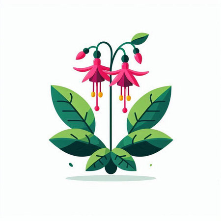 Fuchsia flower flat vector illustration. Floral design element.のイラスト素材